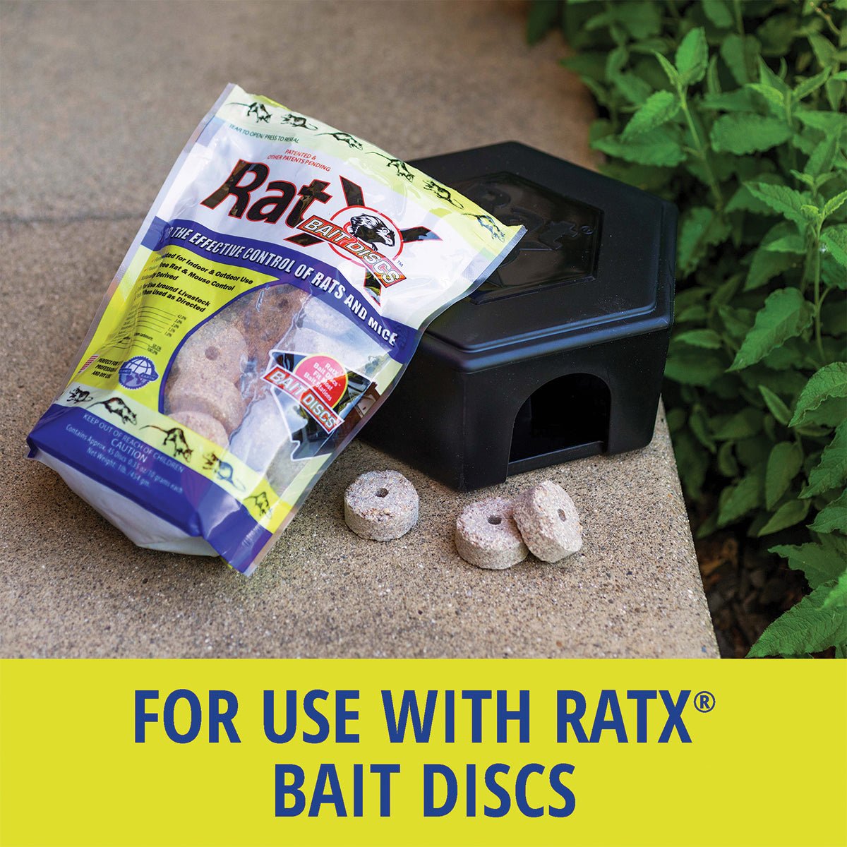 Use RatX® Small Bait Box with RatX® Bait Discs
